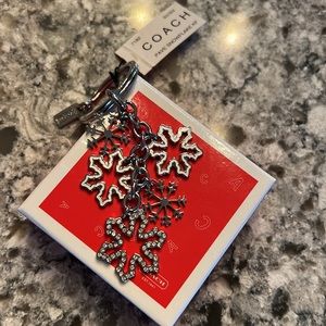Coach Snowflake Charms
